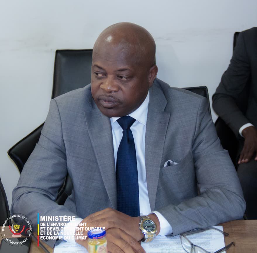 M. Alphonse Faustin BANGILA MALUANI, Expert en Finance verte et Stratégies de Développement Durable